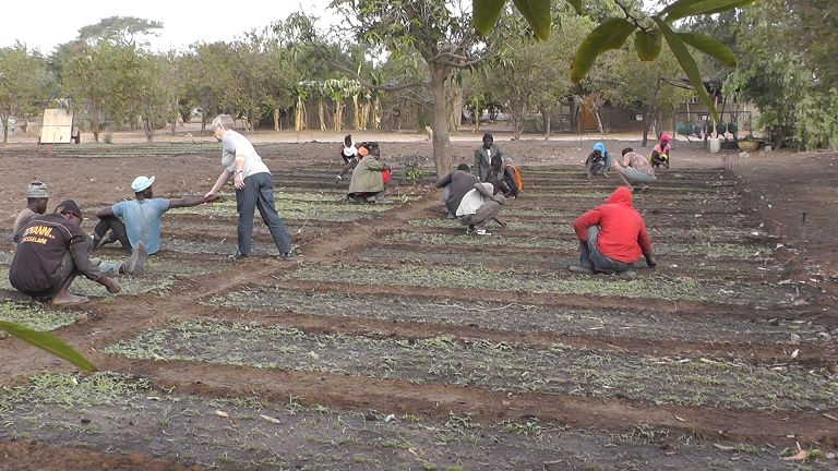 Landwirtschaft sandiara Ausbildung