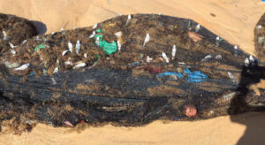 plastikmüll