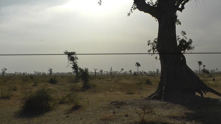 Senegal Landschaft
