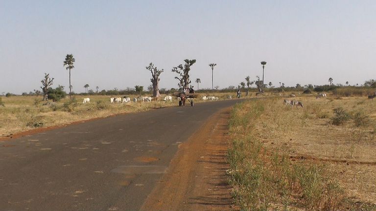Senegal Landschaft