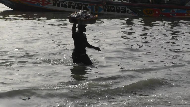 fischer mbour fischhalle